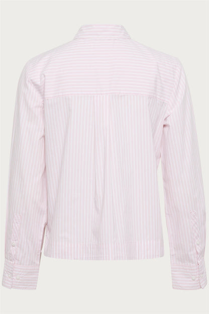 PranveraPW SH Rosa